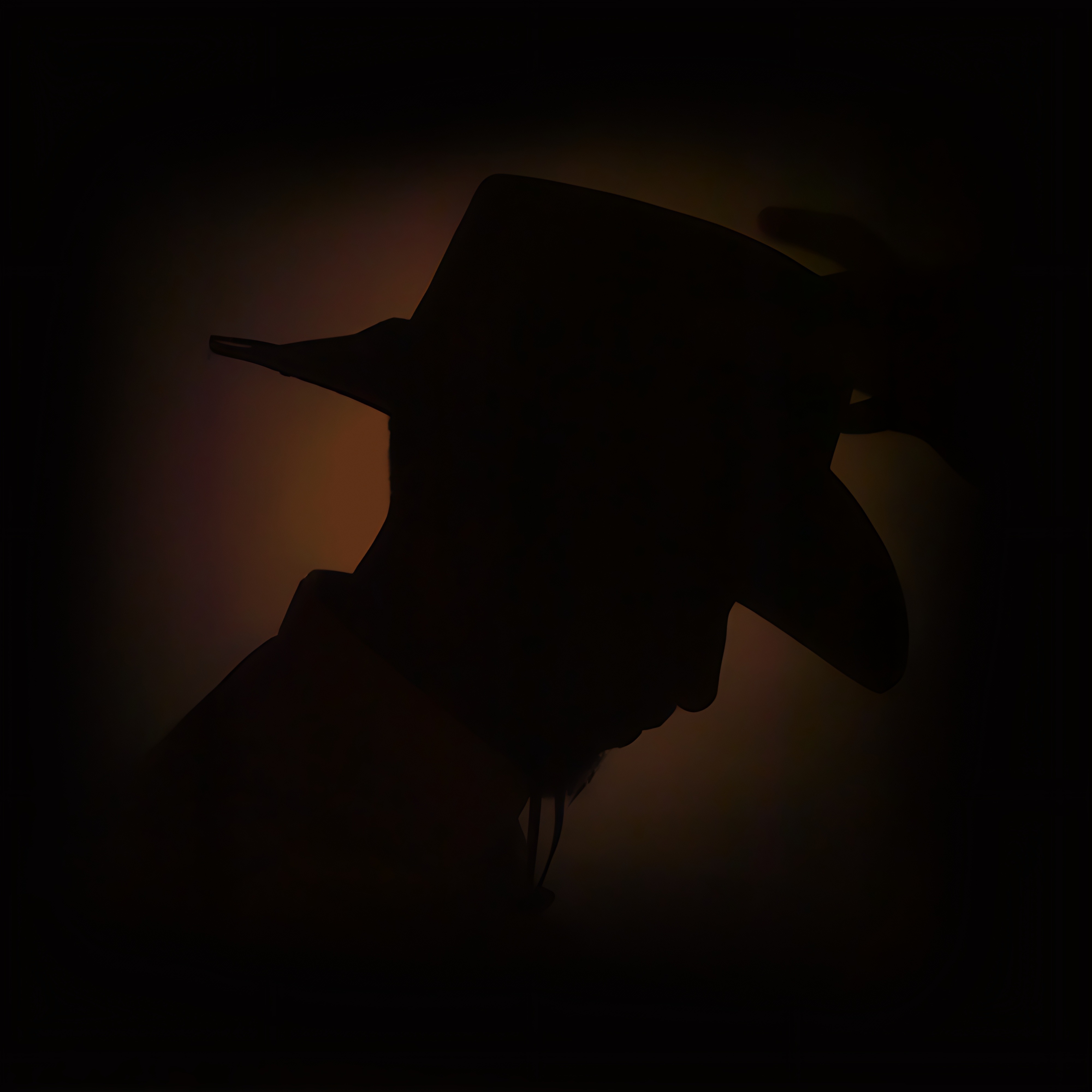 Special products slider