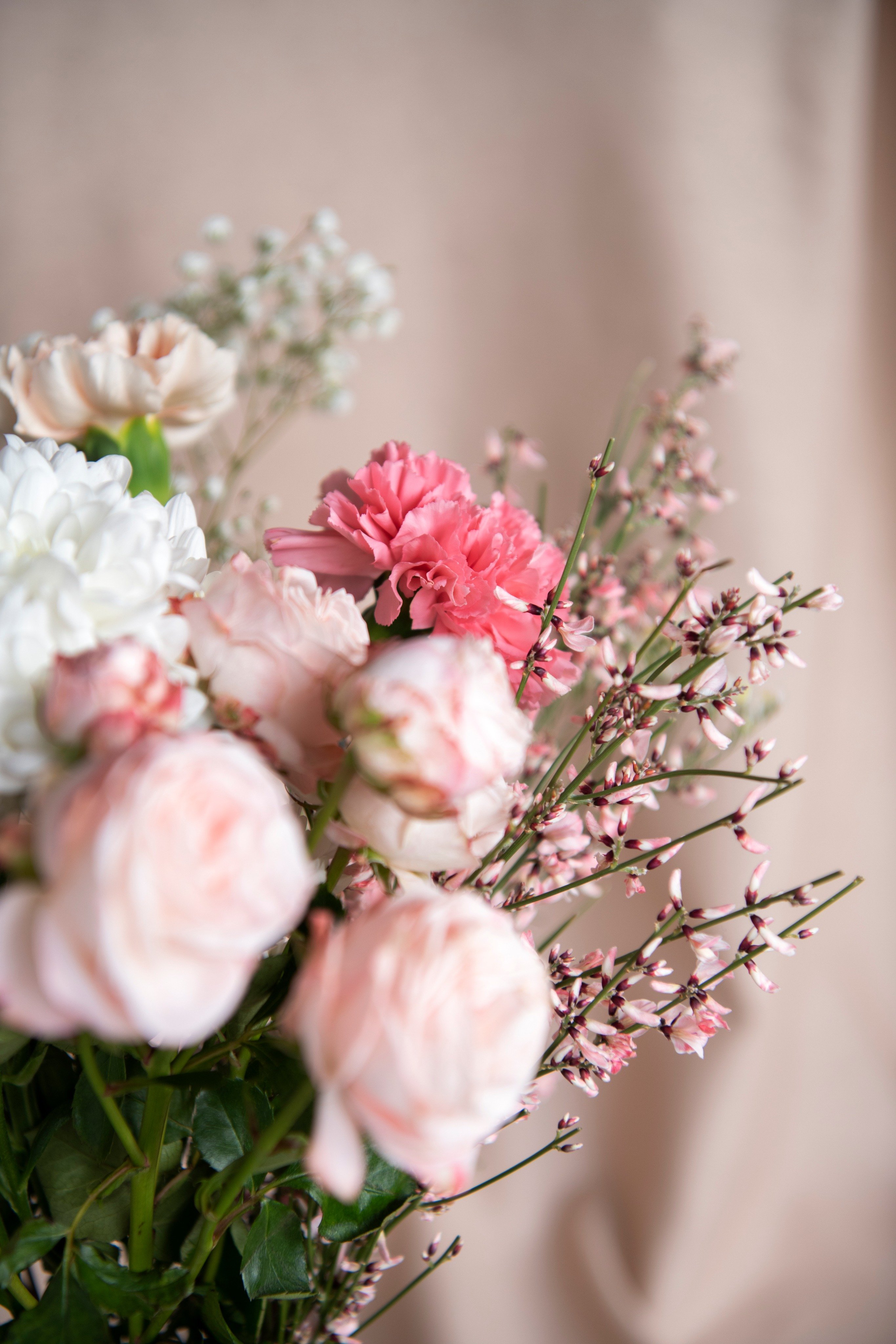 تعذر تحميل الصورة
