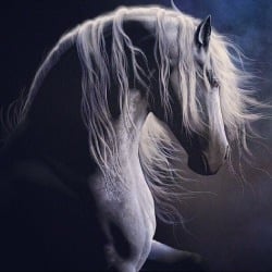 سلطان الشهري