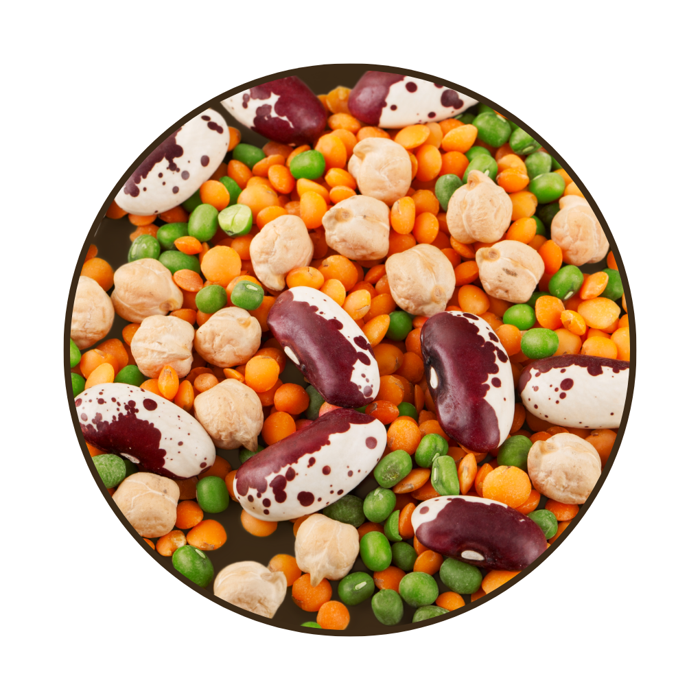 حبوب وبقوليات