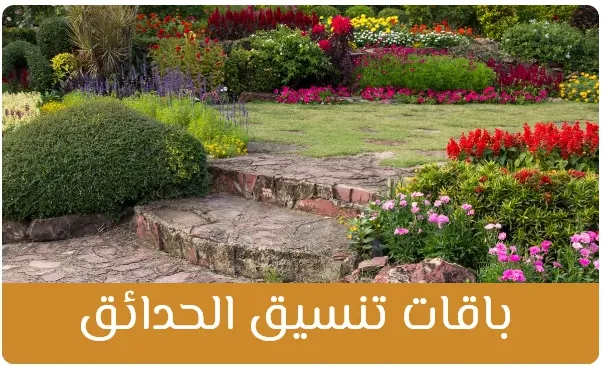 square-img