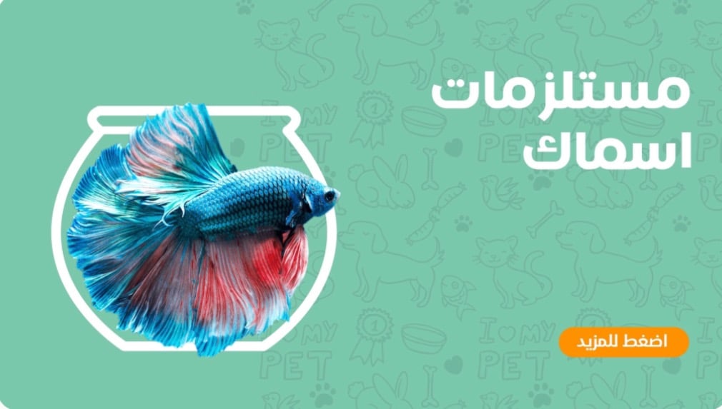 fixed banner