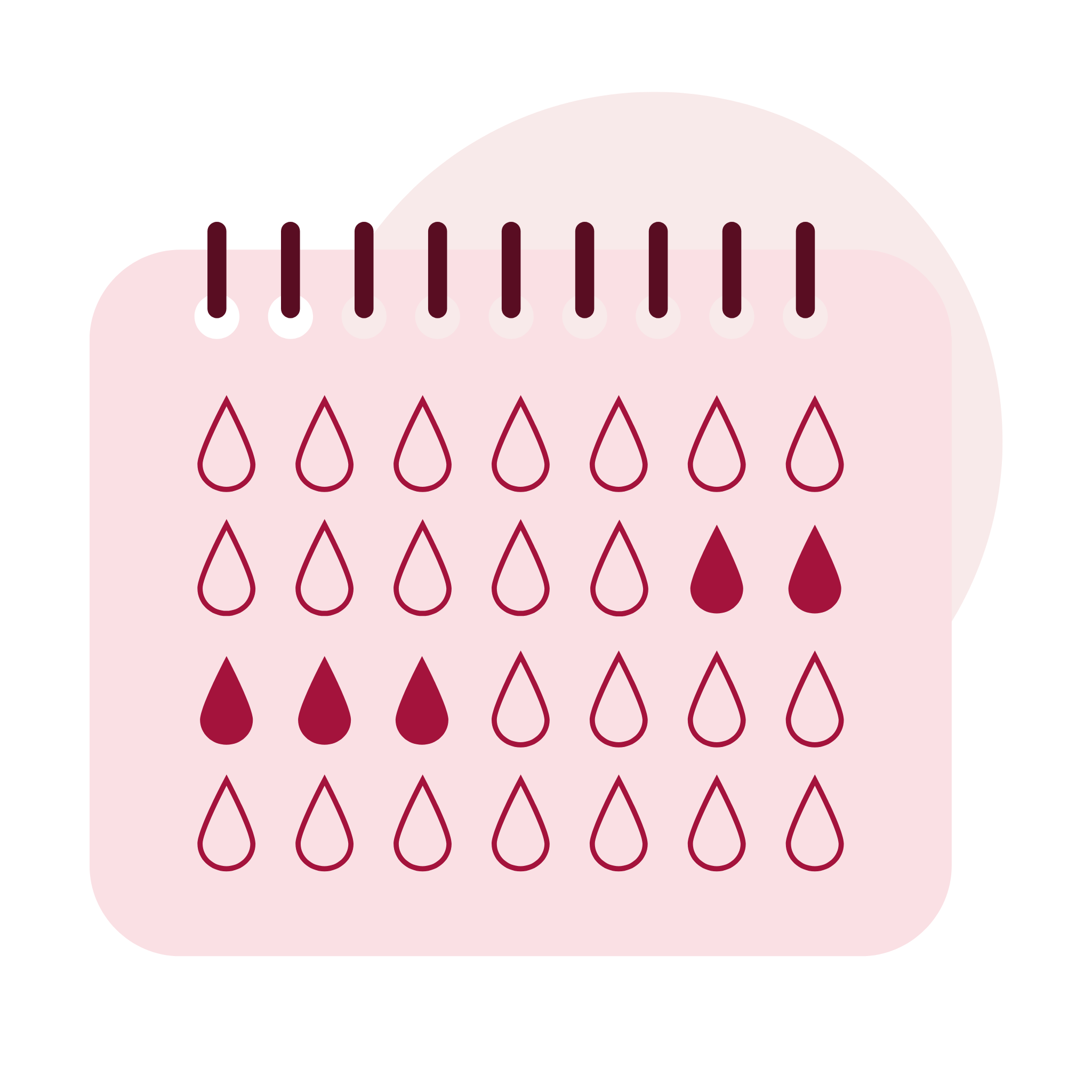 يغطي احتياجك كل الشهـر