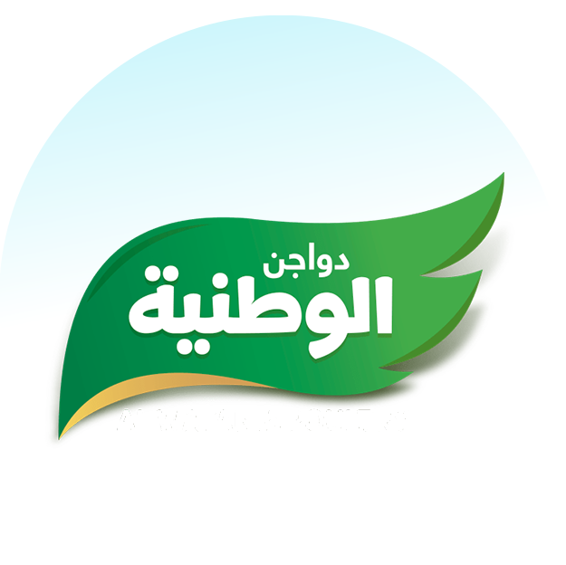 دجاج الوطنية