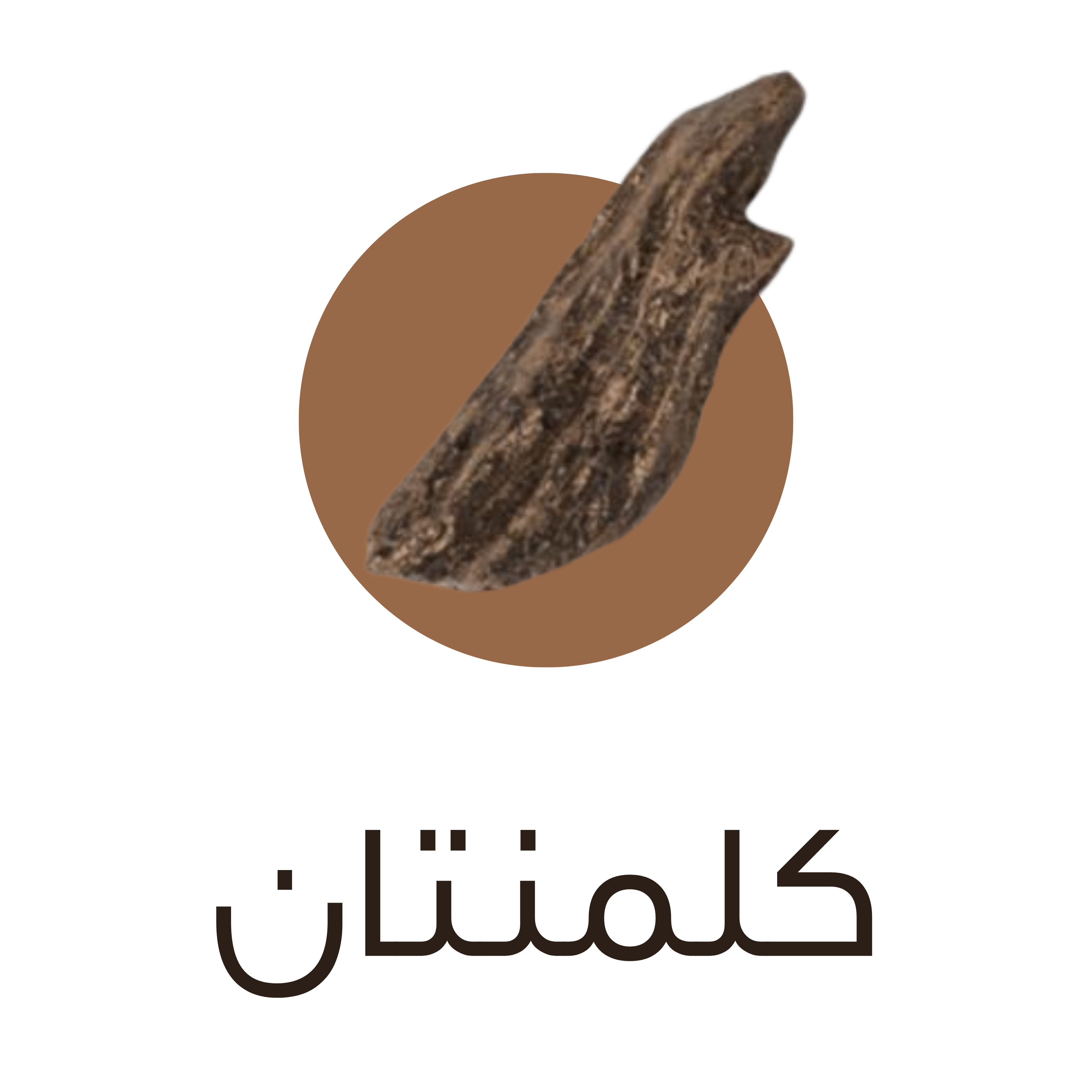 بانر ترويجي
