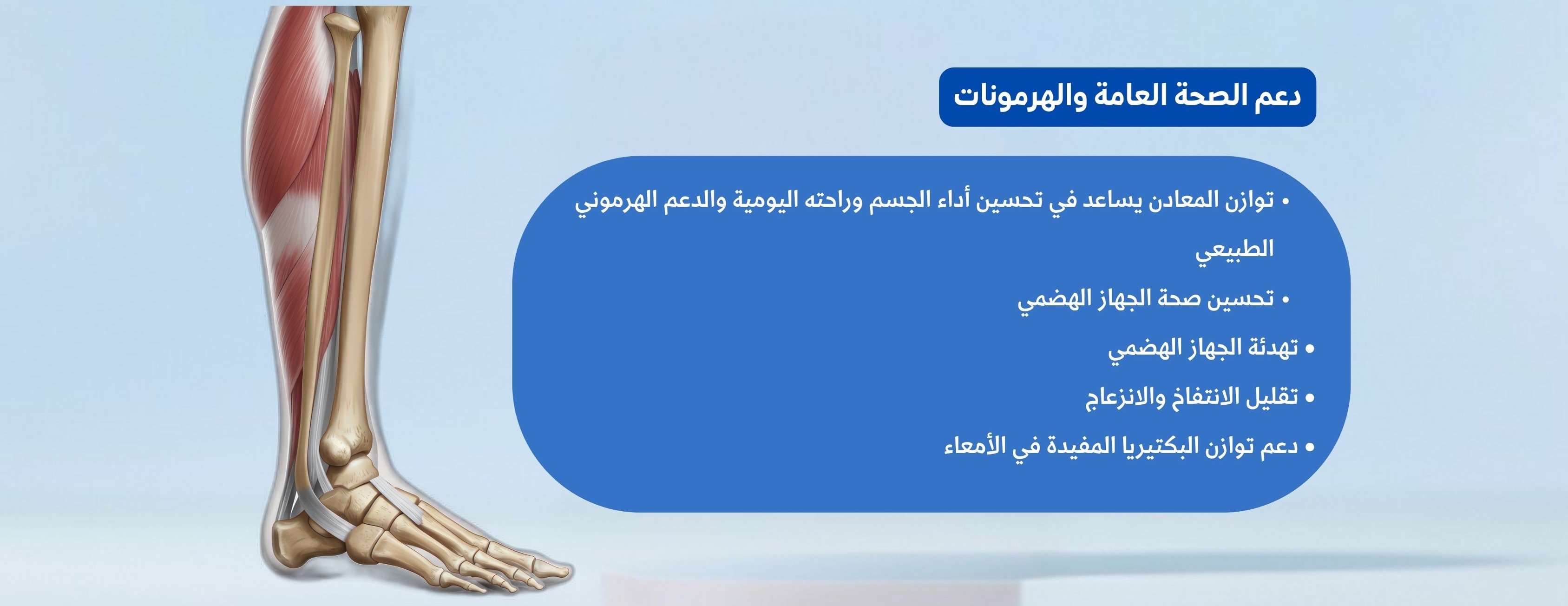 اعشاب الطحالب الاطلسية image-slider-3