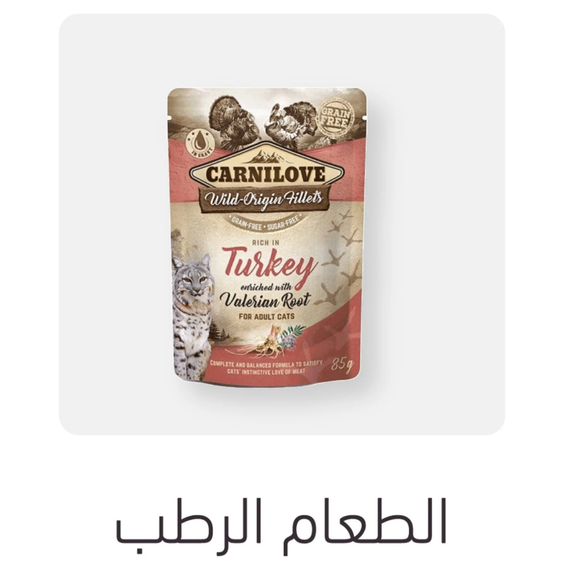 الطعام الرطب