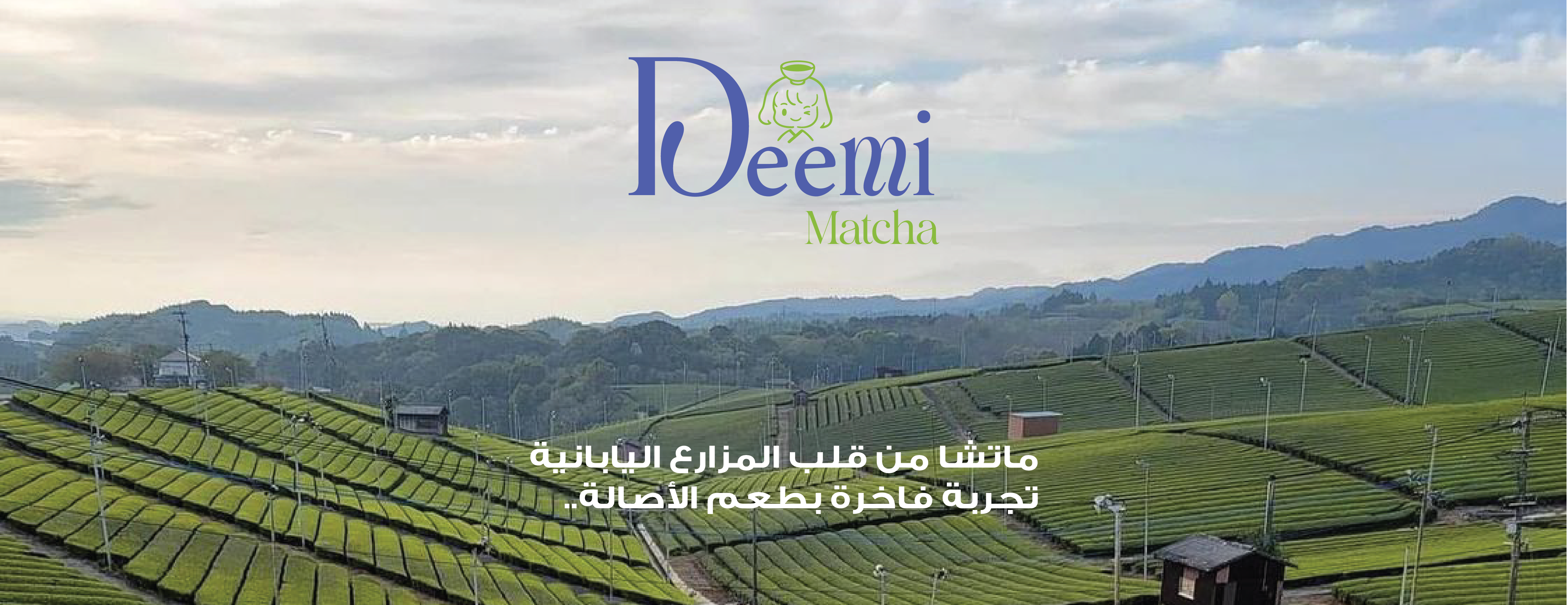ديمي ماتشا Deemi matcha image-slider-0