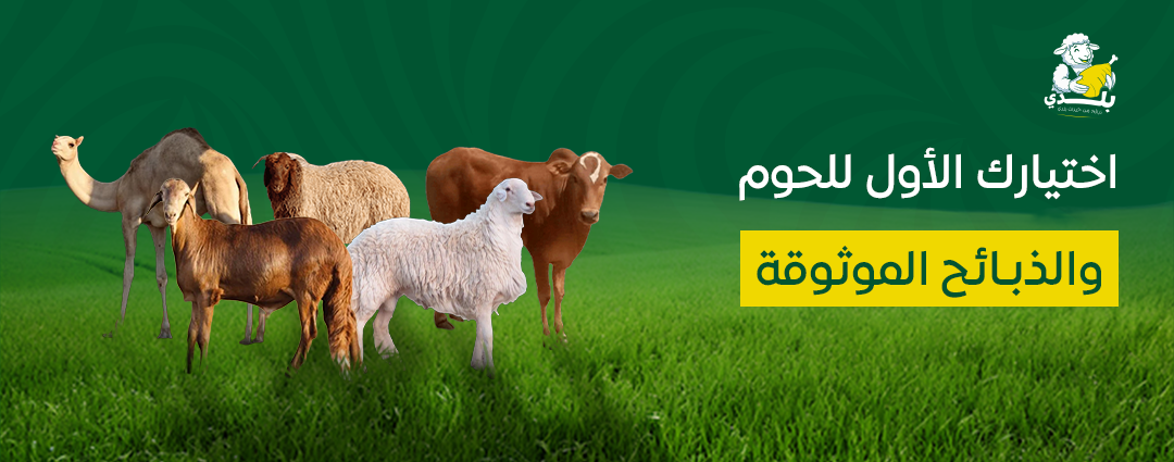 بلدي للحوم الطازجة