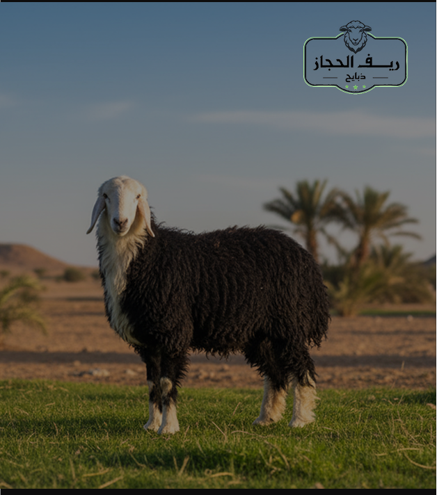 Special products slider