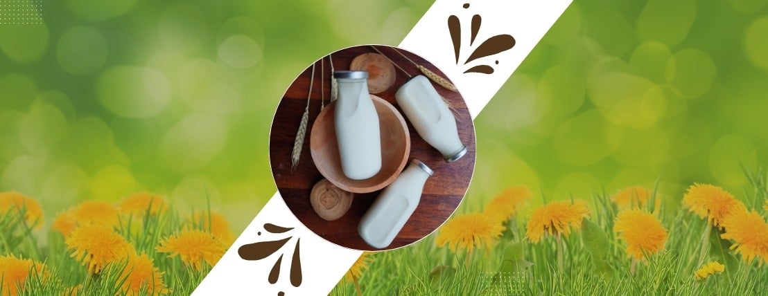 مراعي القاضي image-slider-4