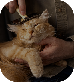 عناية وجمال