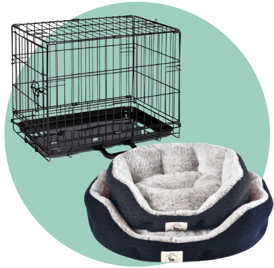 بيوت وأقفاص الكلاب