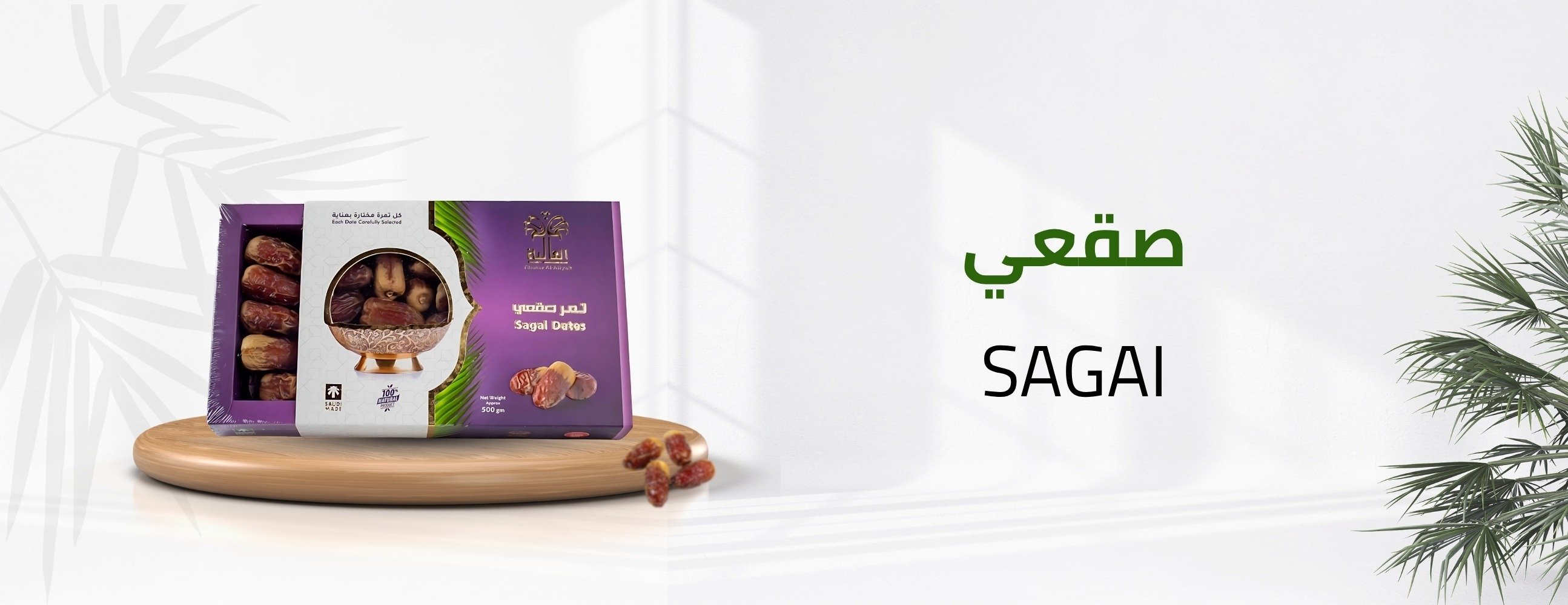 تمار العالیہ image-slider-4