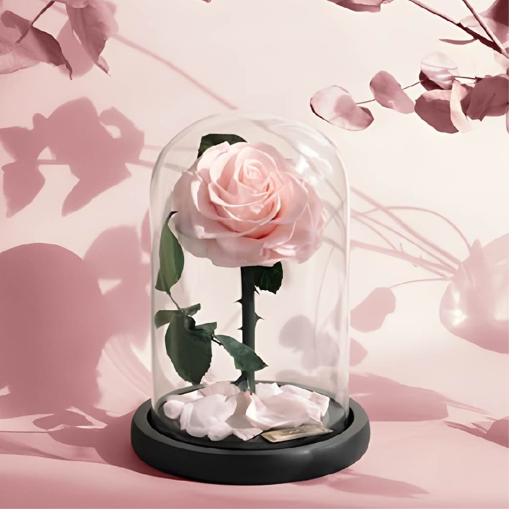 ورد طبيعي يعيش مدى الحياه