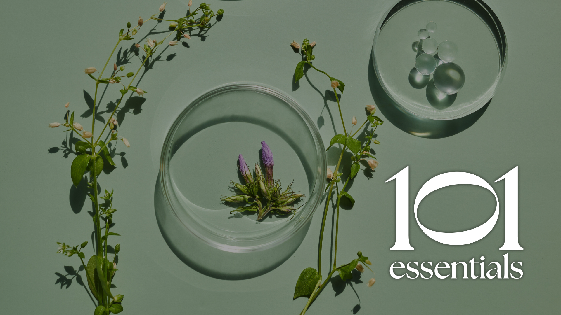 101 Essentials