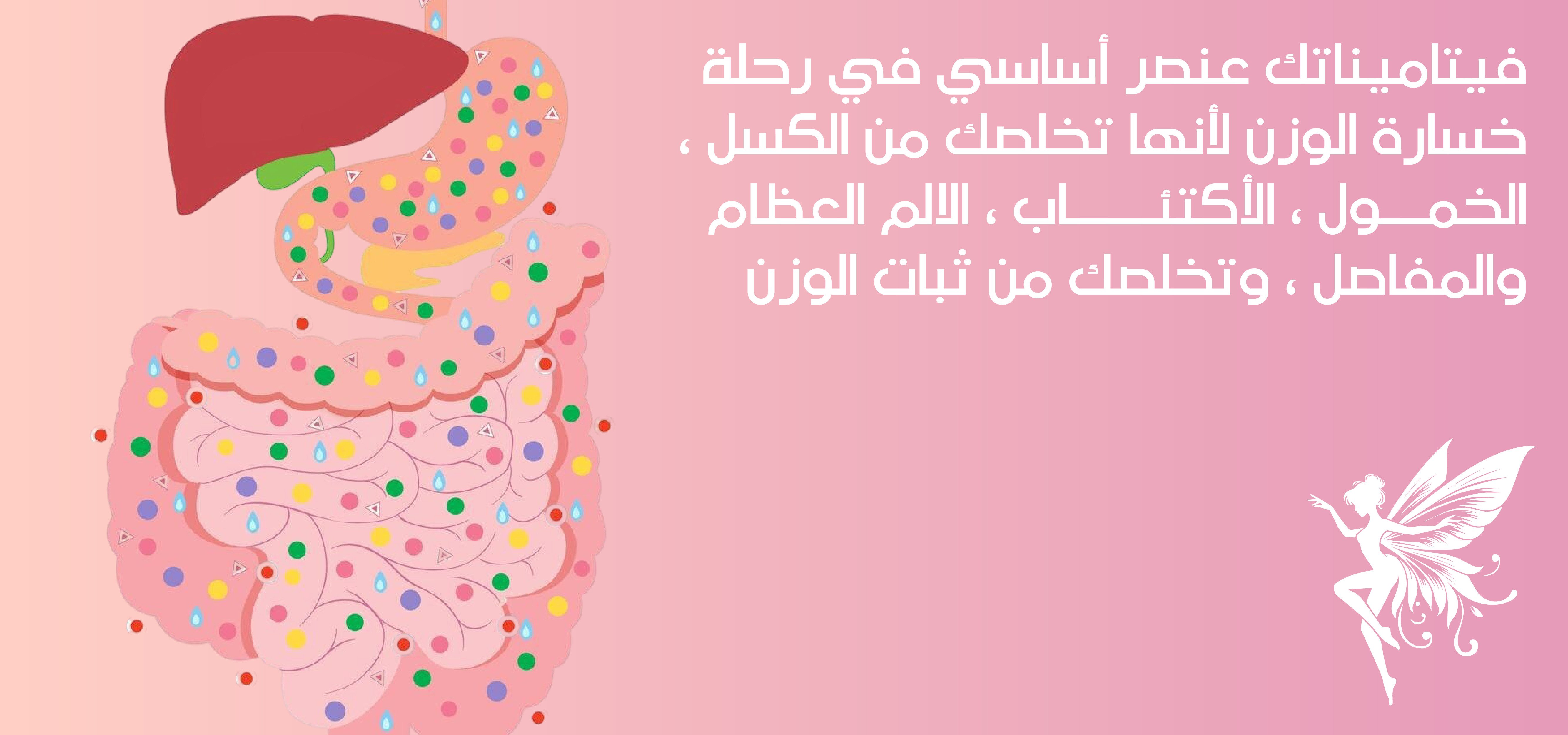 كوتش شيم image-slider-1