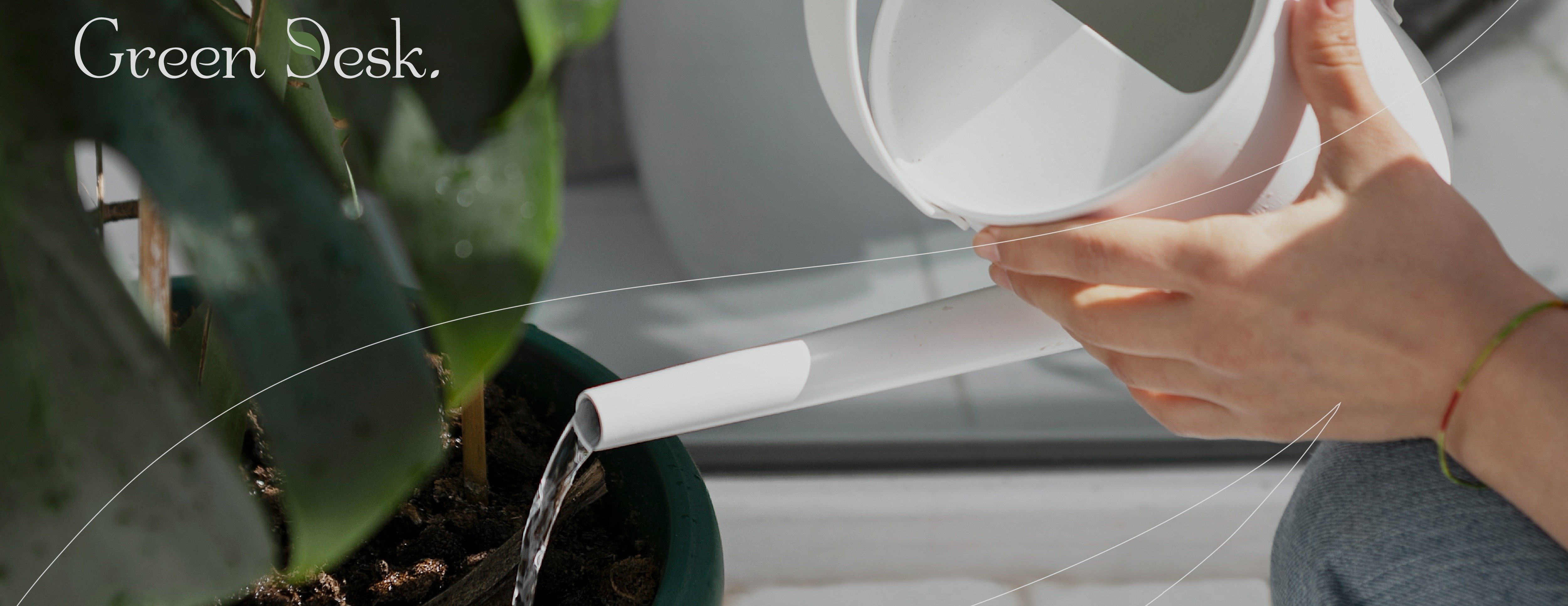 Green Desk image-slider-2
