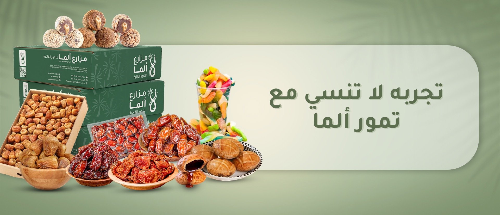 مزارع ألما