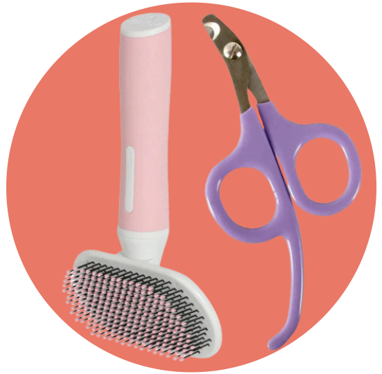 العناية بالشعر والمخالب للقطط