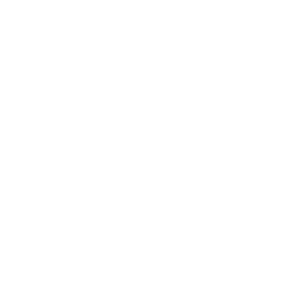 AREEJ ROSEs