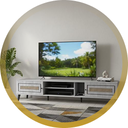 وحداة التلفزيون