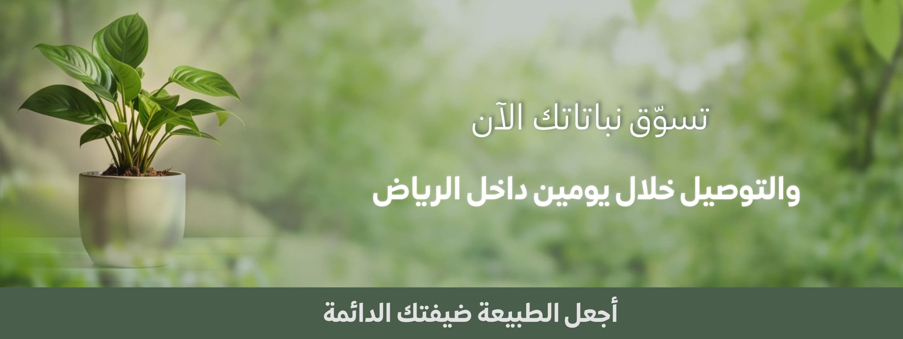 fixed banner