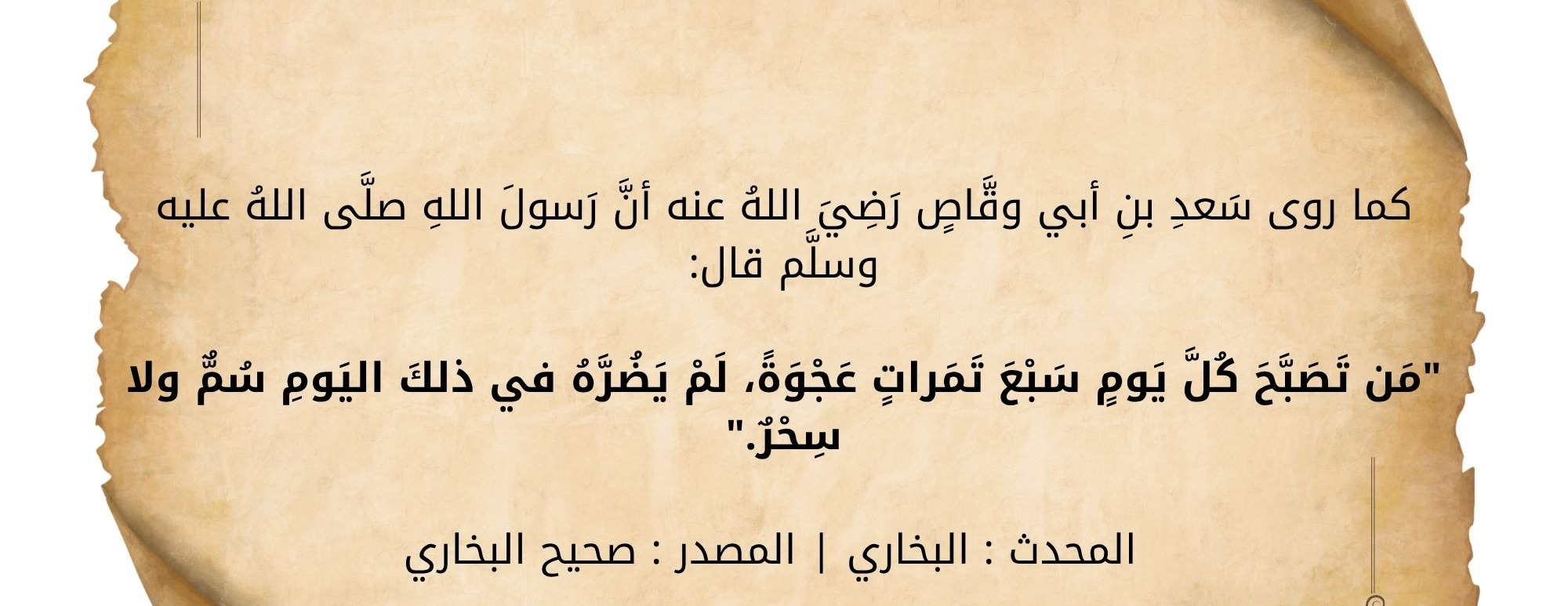 تمرة المدينة image-slider-1