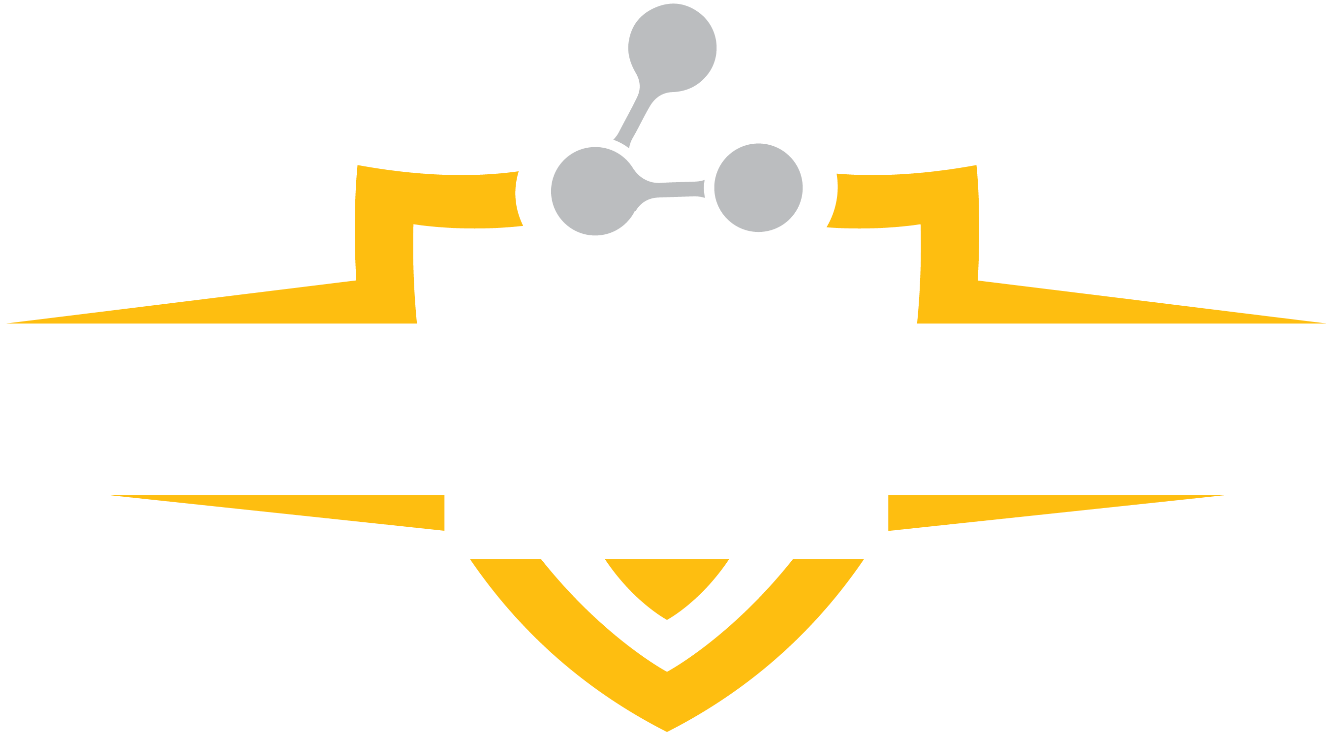 nanoprolayers