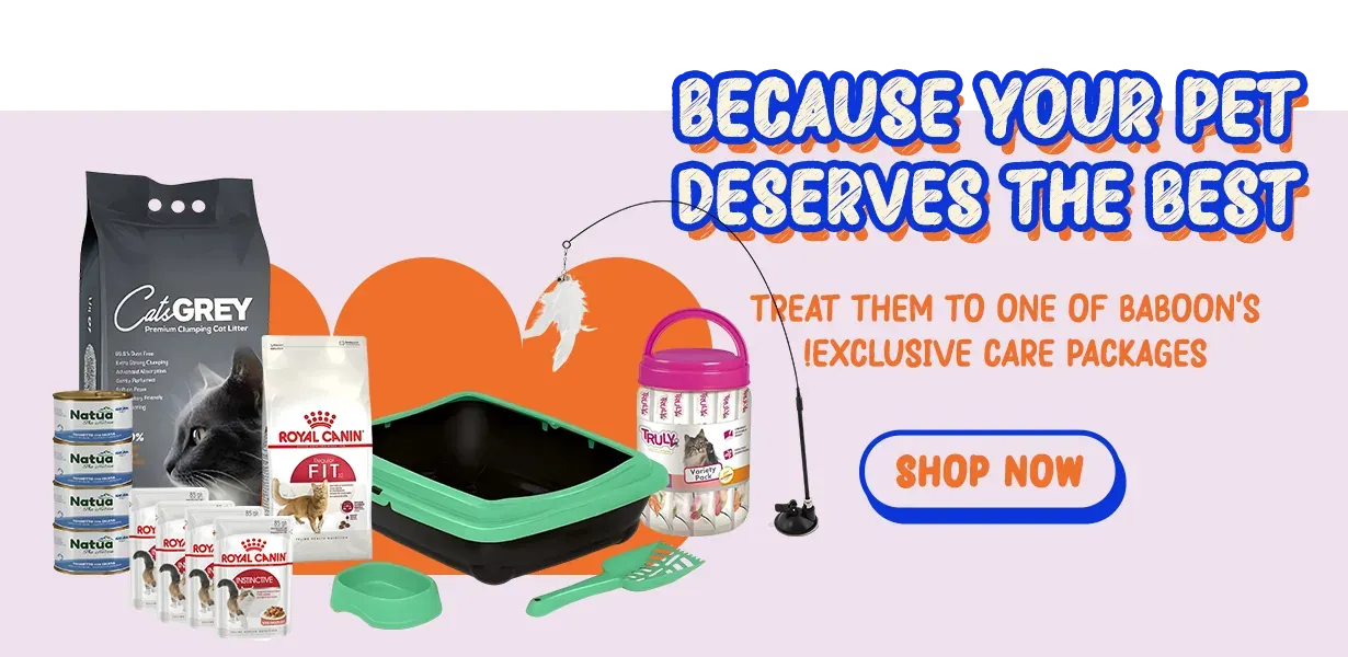 fixed banner