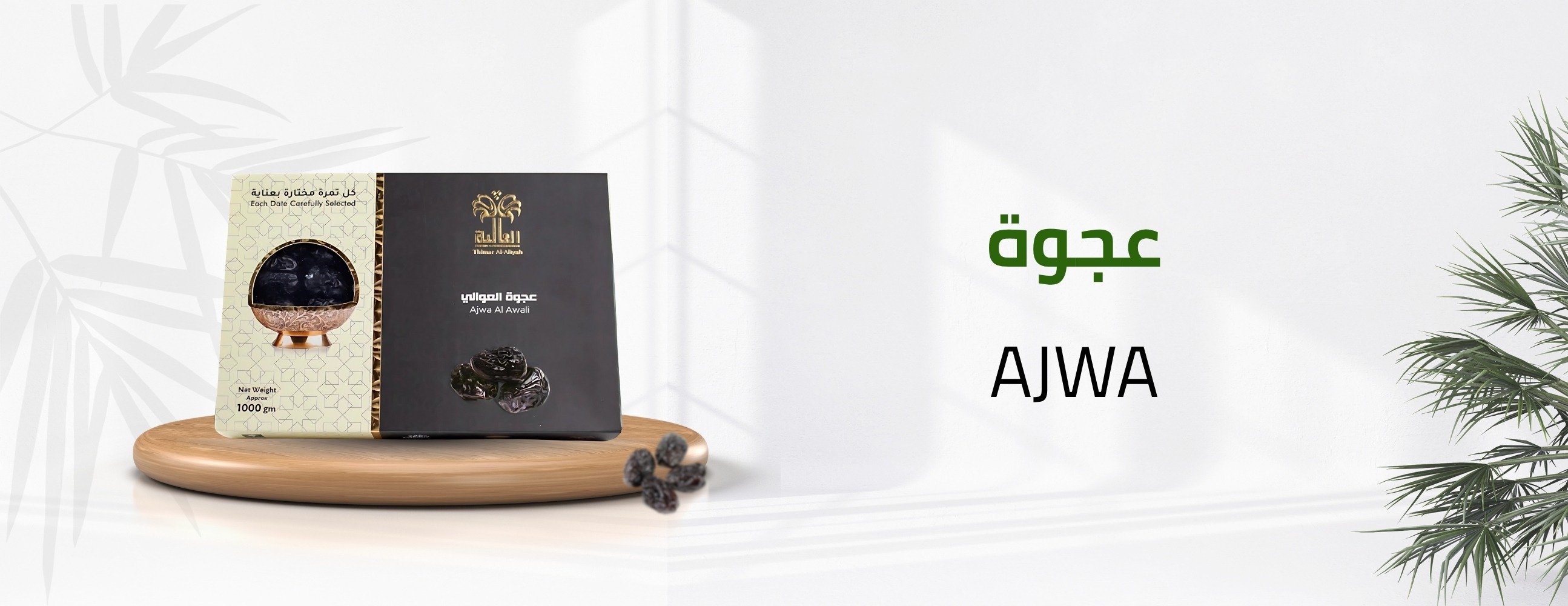تمار العالیہ image-slider-0