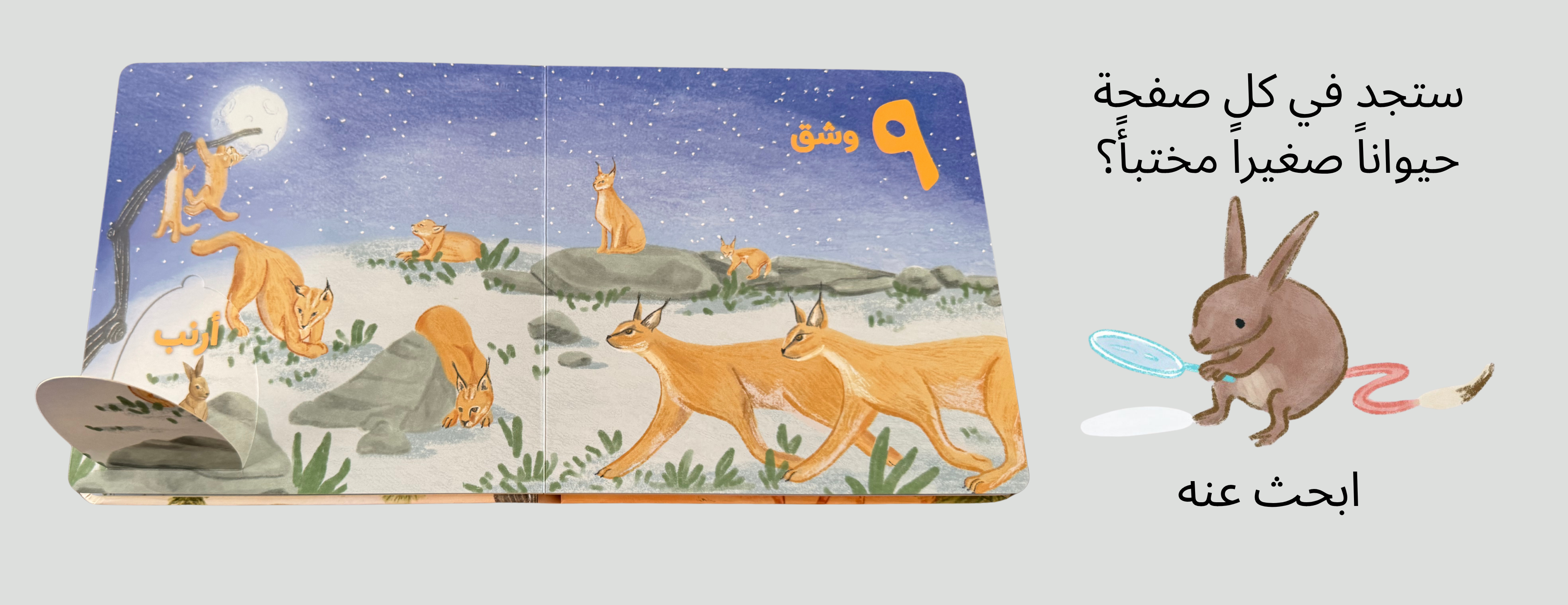 Dawarshams image-slider-0