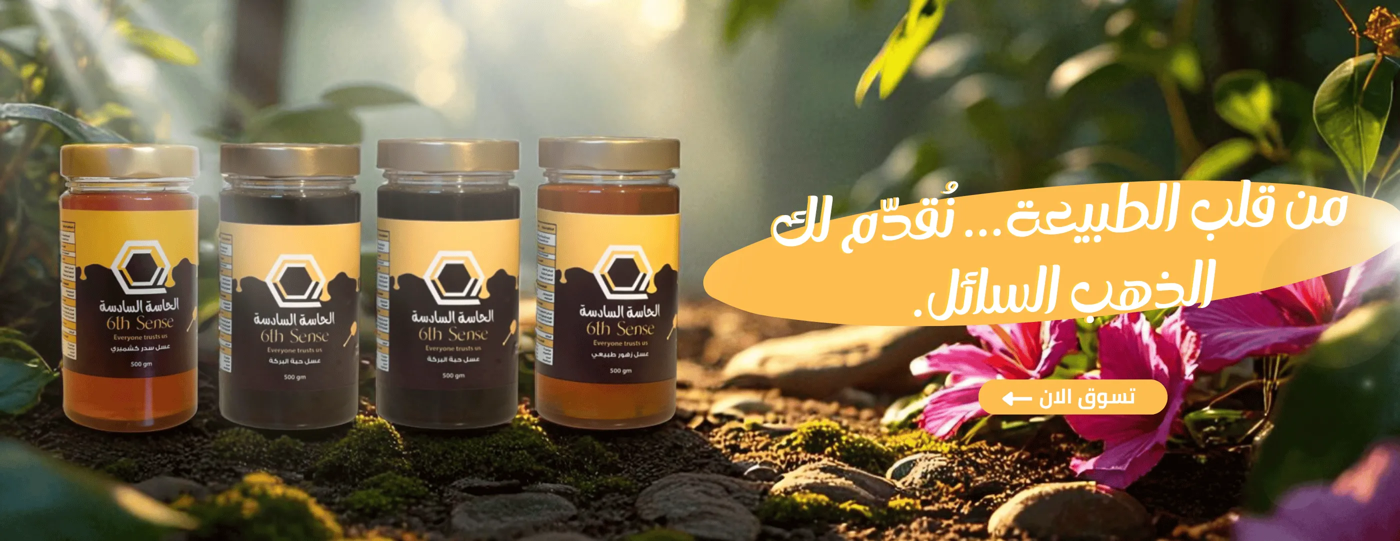 6th sense | الحاسة السادسة image-slider-1