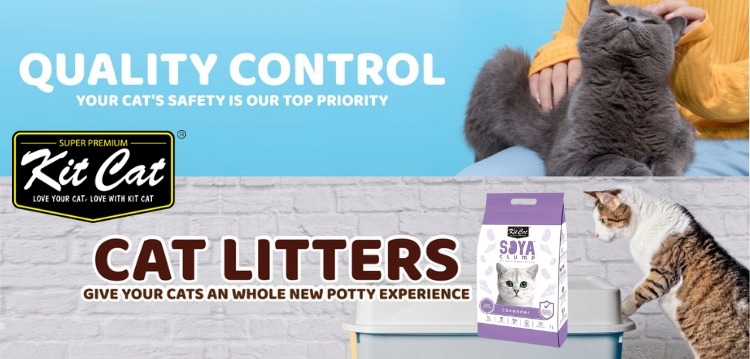 fixed banner