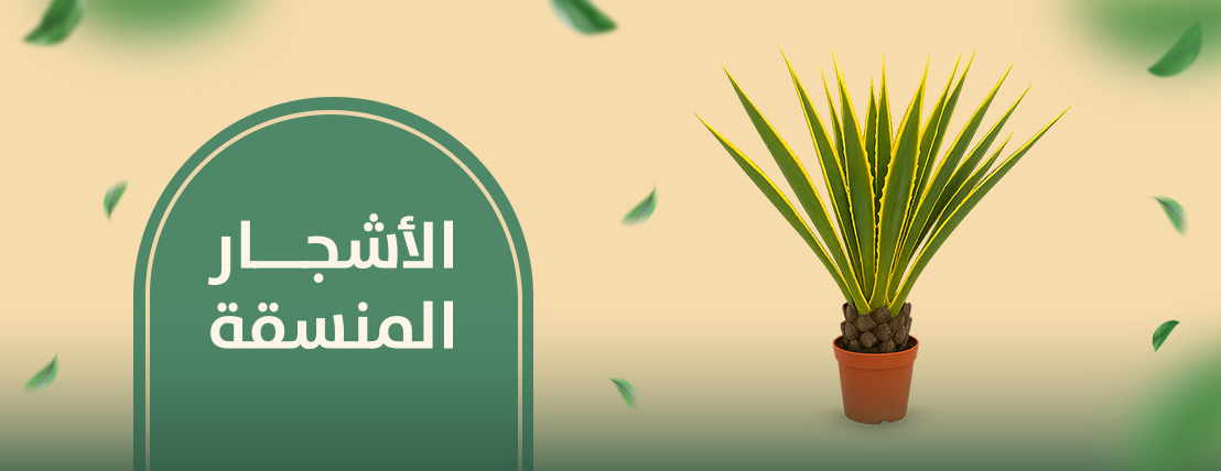 plant-pots (أحواض ومراكن وأشجار) image-slider-3