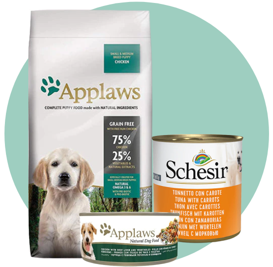 طعام ومكافات الكلاب