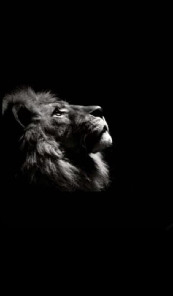 خالد العتيبي