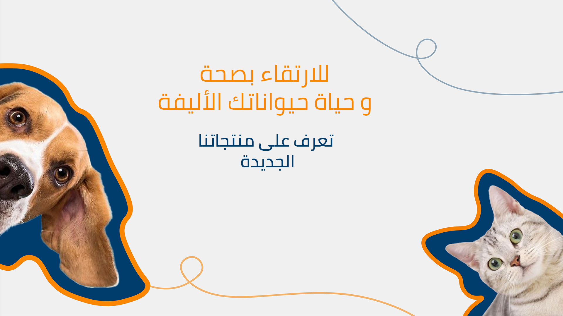 زوومارت