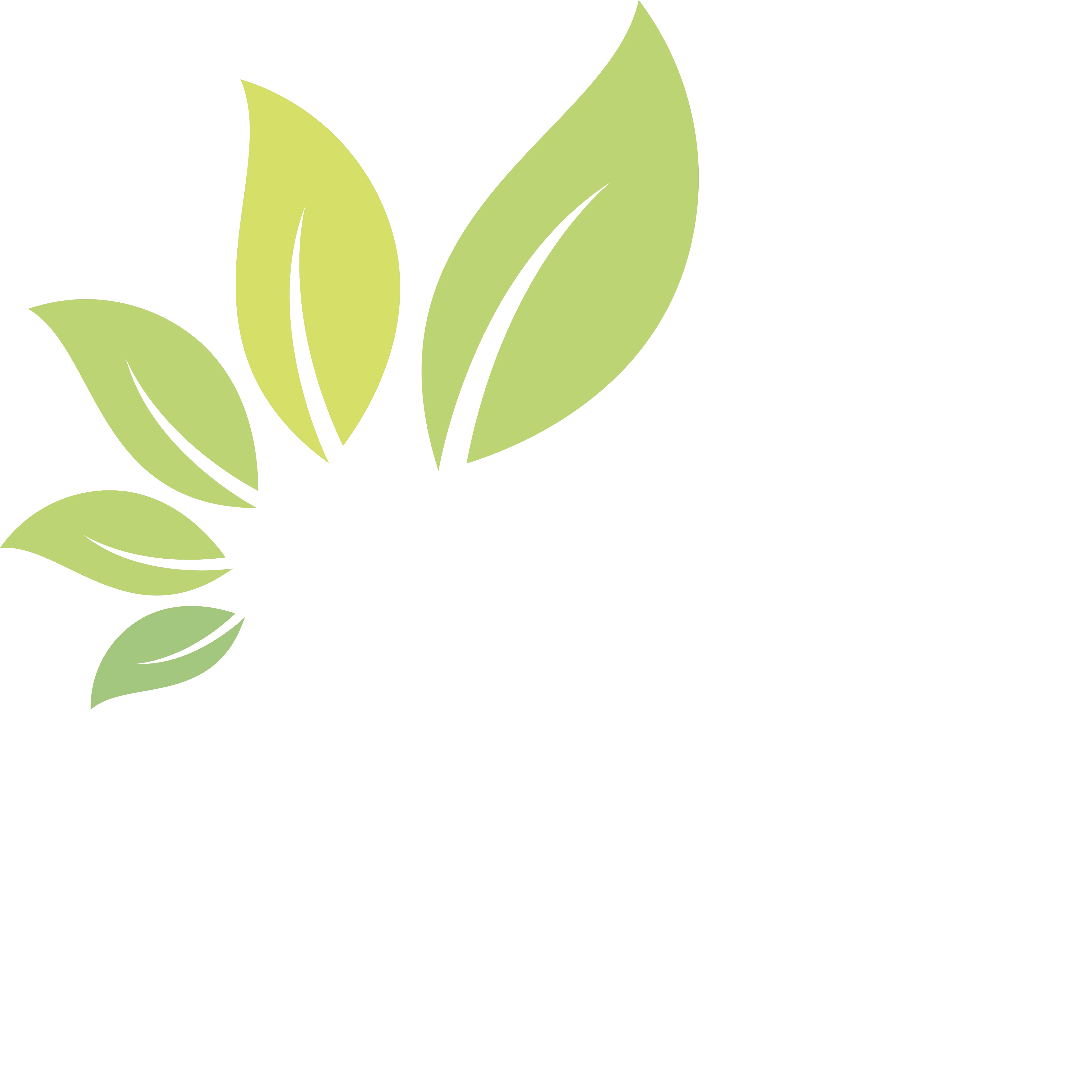product-background