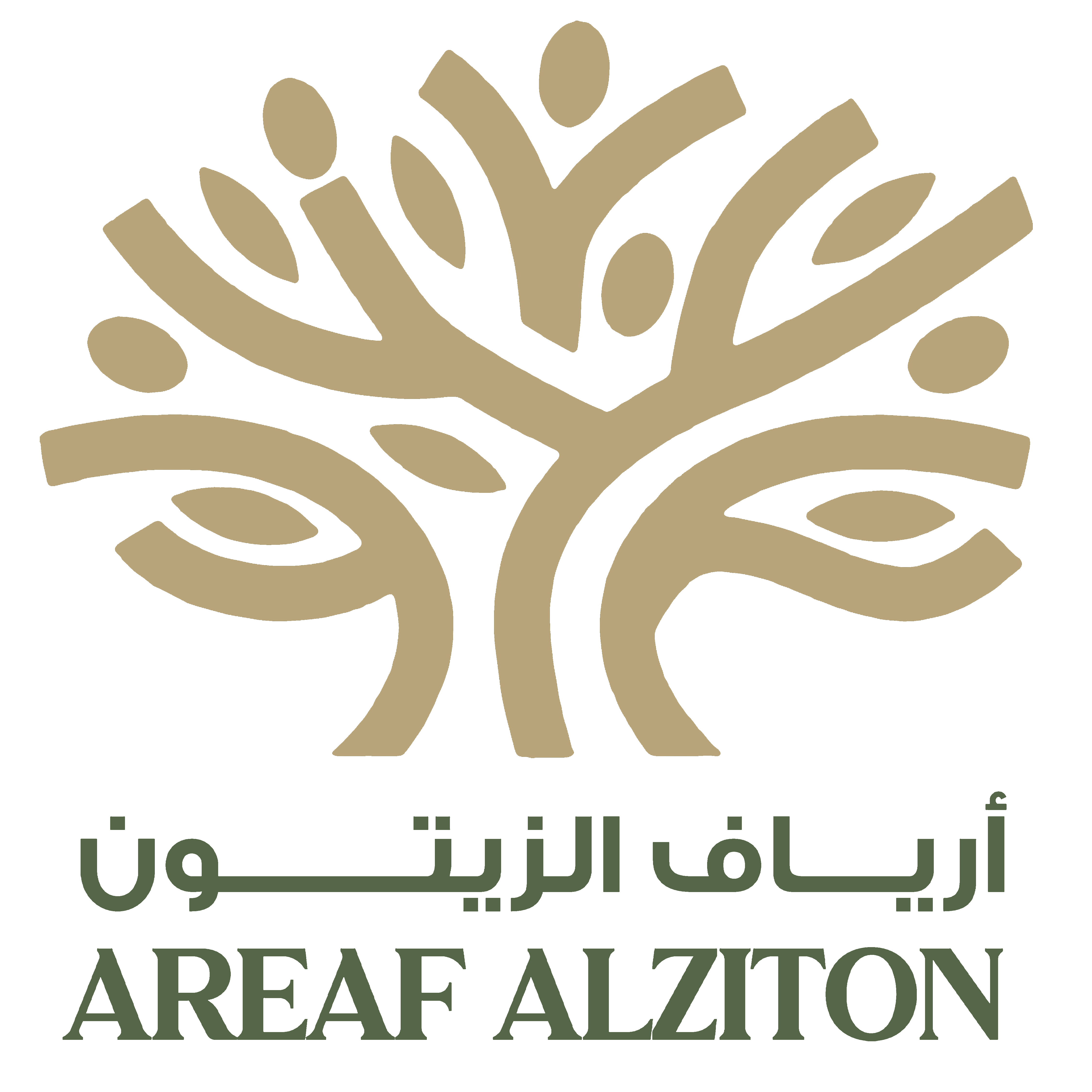أرياف الزيتون