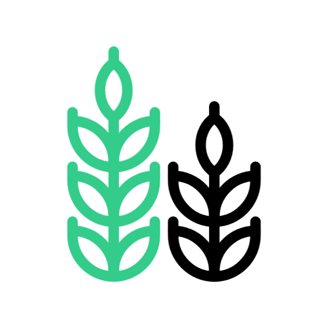 الشوفان وحبوب الافطار