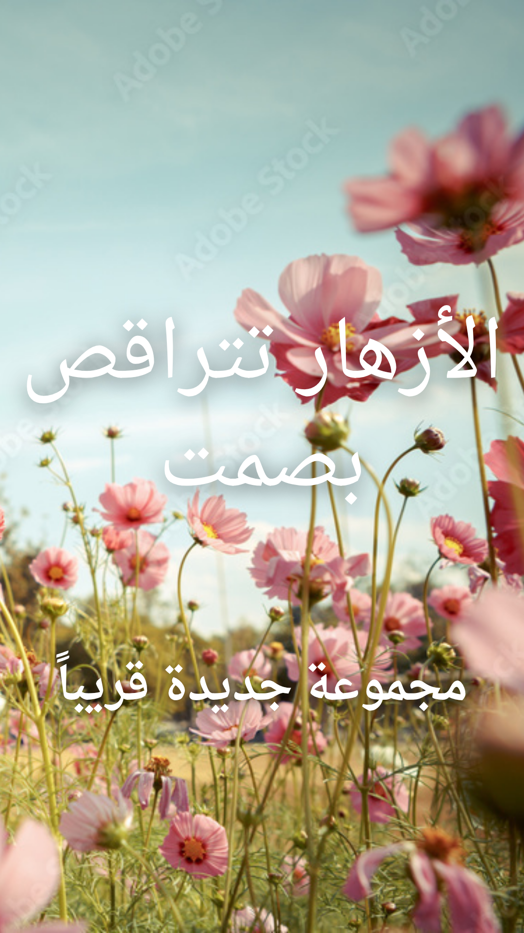 عطور ابراهيم الدايل