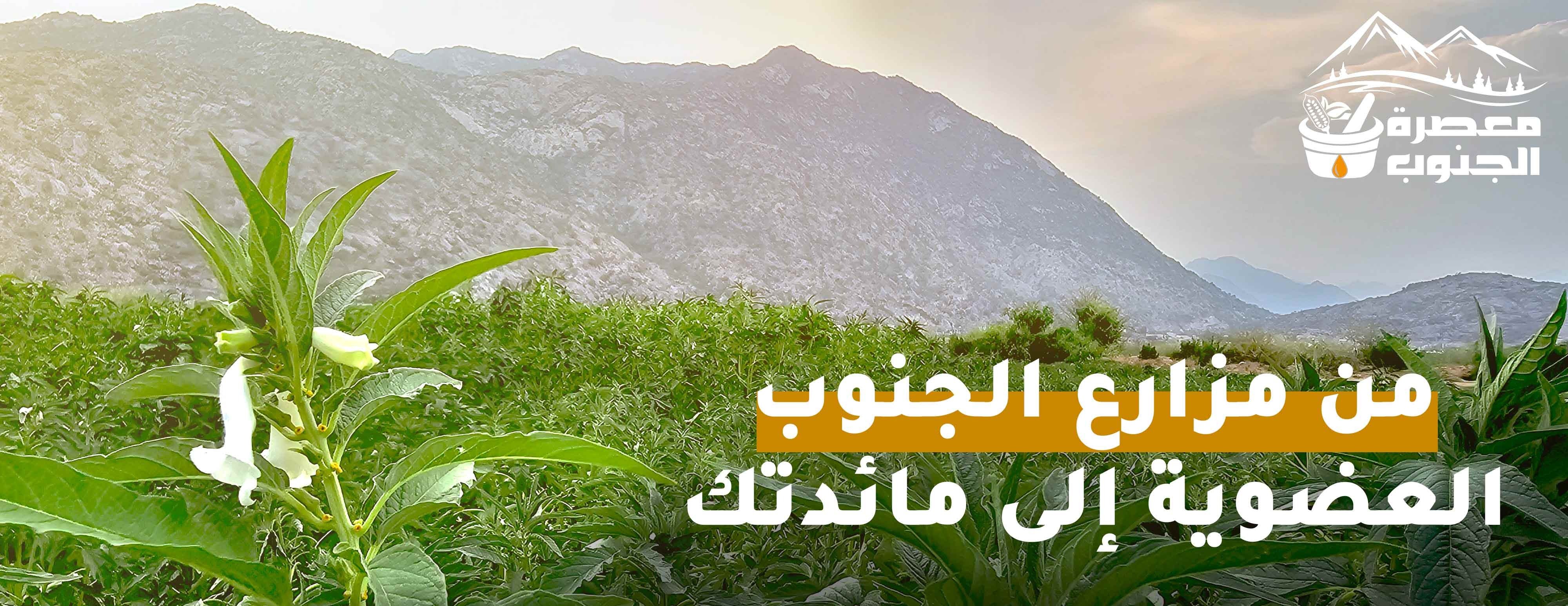 معصرة الجنوب image-slider-0