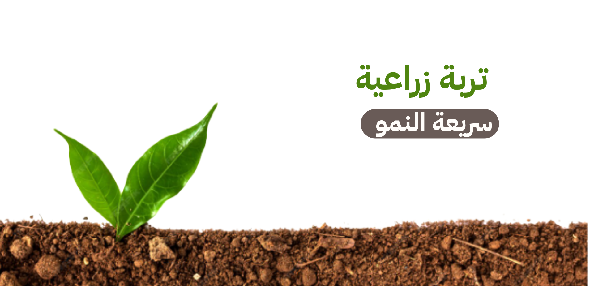 category banner