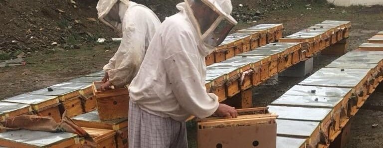 عسل الجنوب العضوي image-slider-1