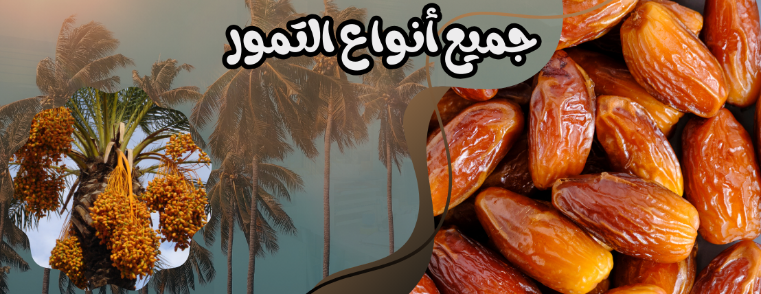 تمور الحواس image-slider-0