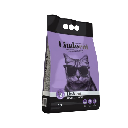 الرمل ومستلزماته