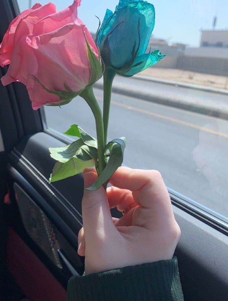 فوز المالكي