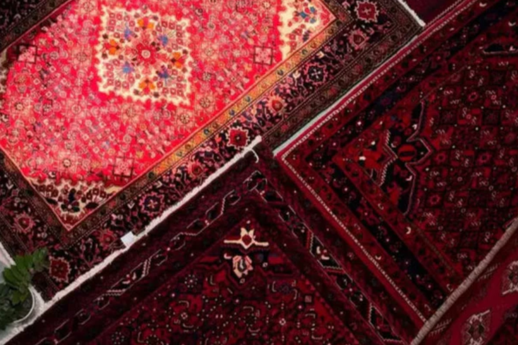 زولية حمراء شرقية