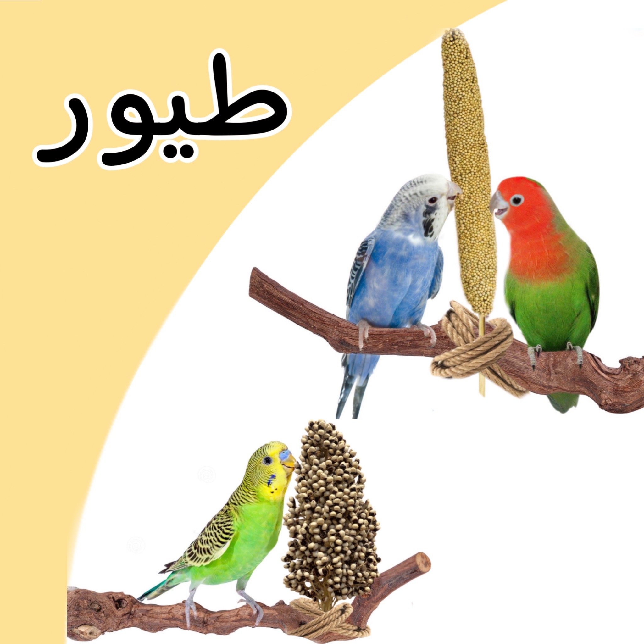 fixed banner